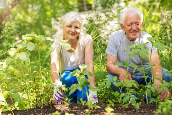 How Seniors Can Benefit From Gardening